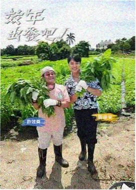 综艺免费观看